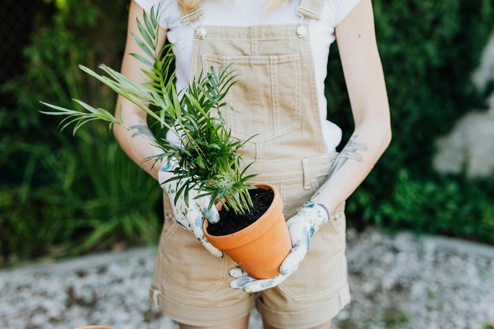 indemnizan a una jardinera por sufrir acoso laboral