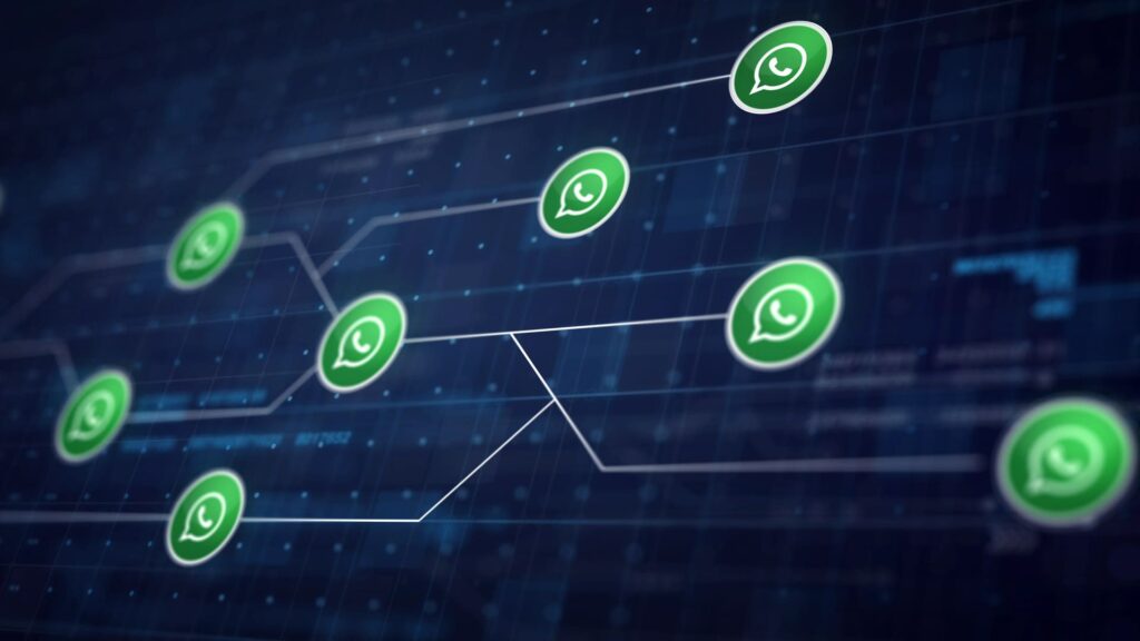 multa whatsapp